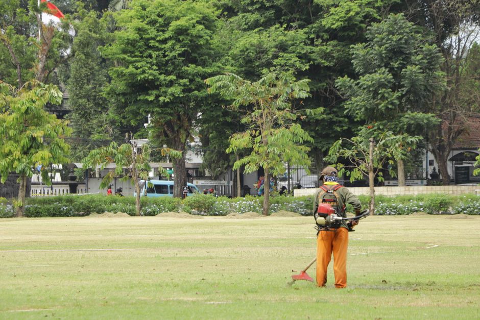 Professional lawn care specialist working on garden design